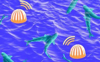 Underwater IoT: The Promise of Data Analytics in Aquaculture