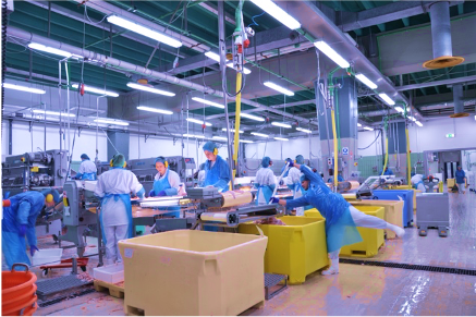 Fish Production