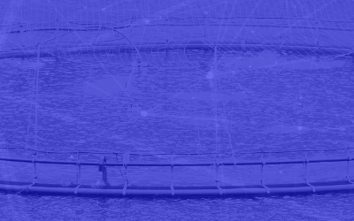 Stop the Spread of SRS in Farmed Salmon: Leveraging Data Analytics to Tackle the Root Cause